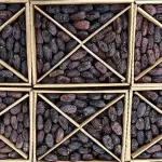 Premium Majdoul Dates - Jumbo King Quality