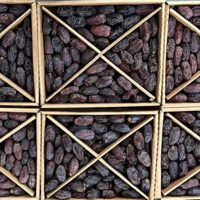 Premium Majdoul Dates - Jumbo King Quality