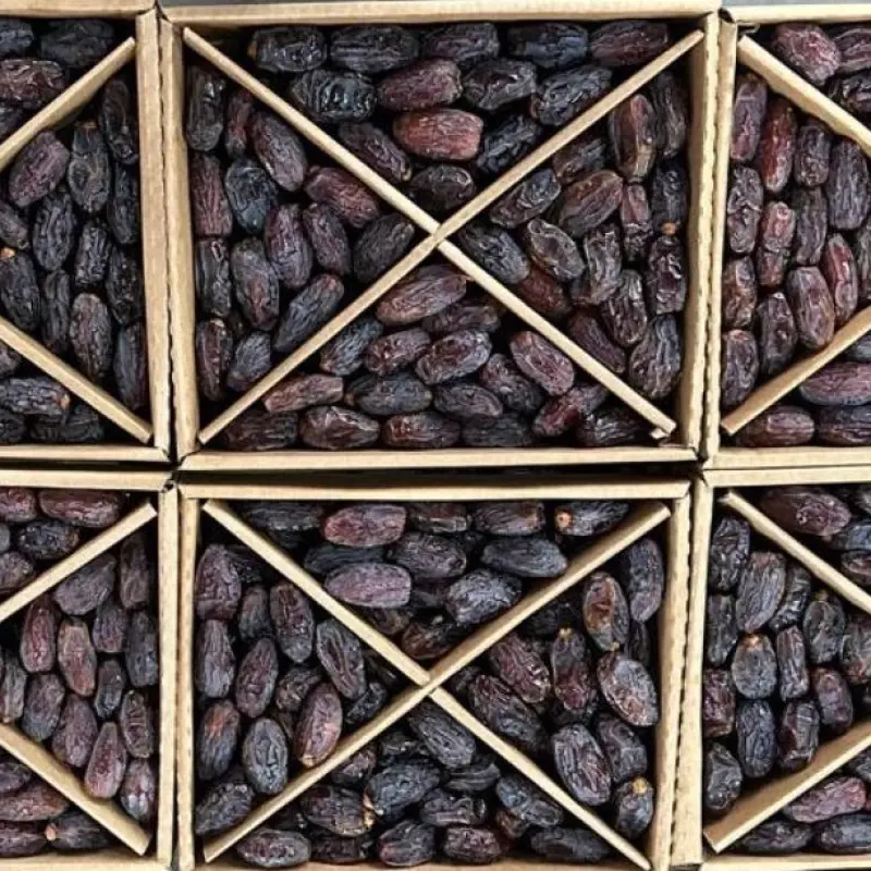 Premium Majdoul Dates - Jumbo King Quality